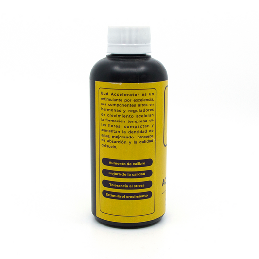 Bud Accelerator