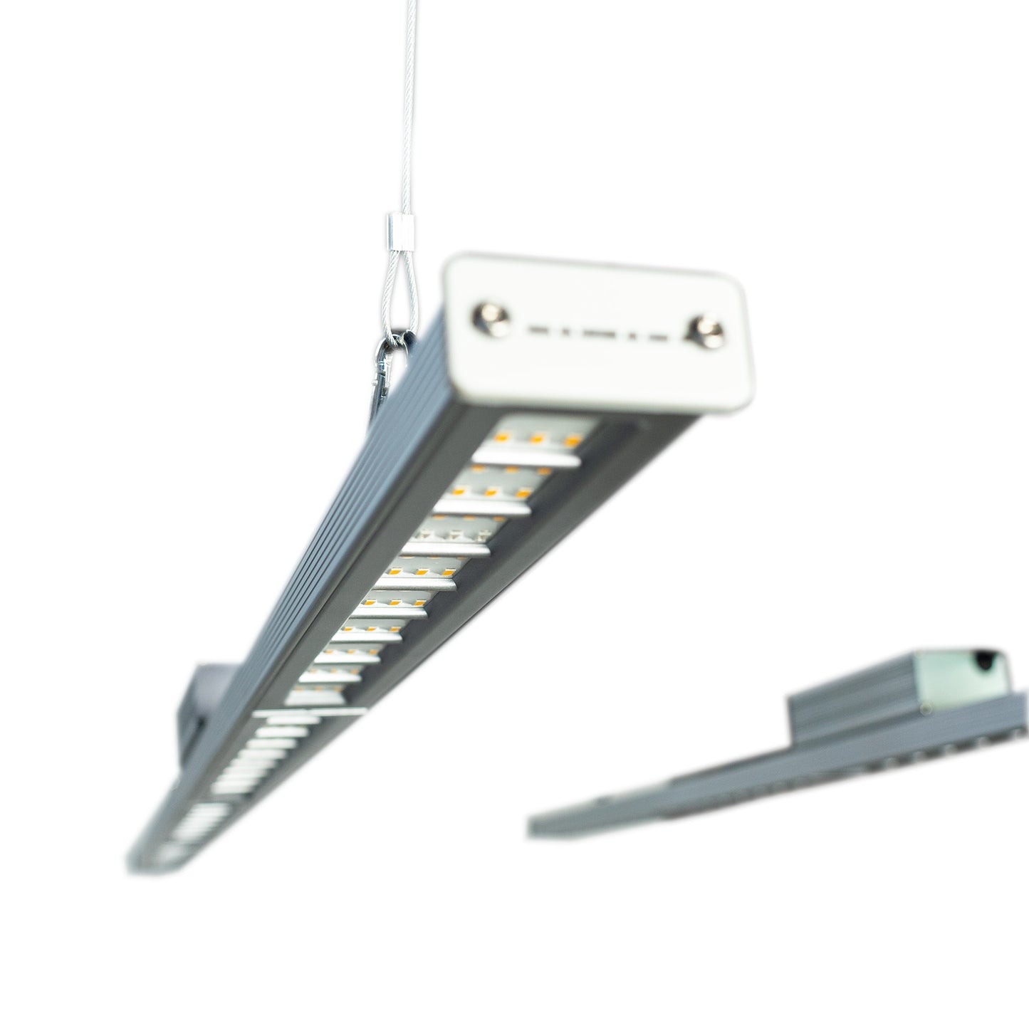 Led Profesional de Cultivo Vegetativo Gorila