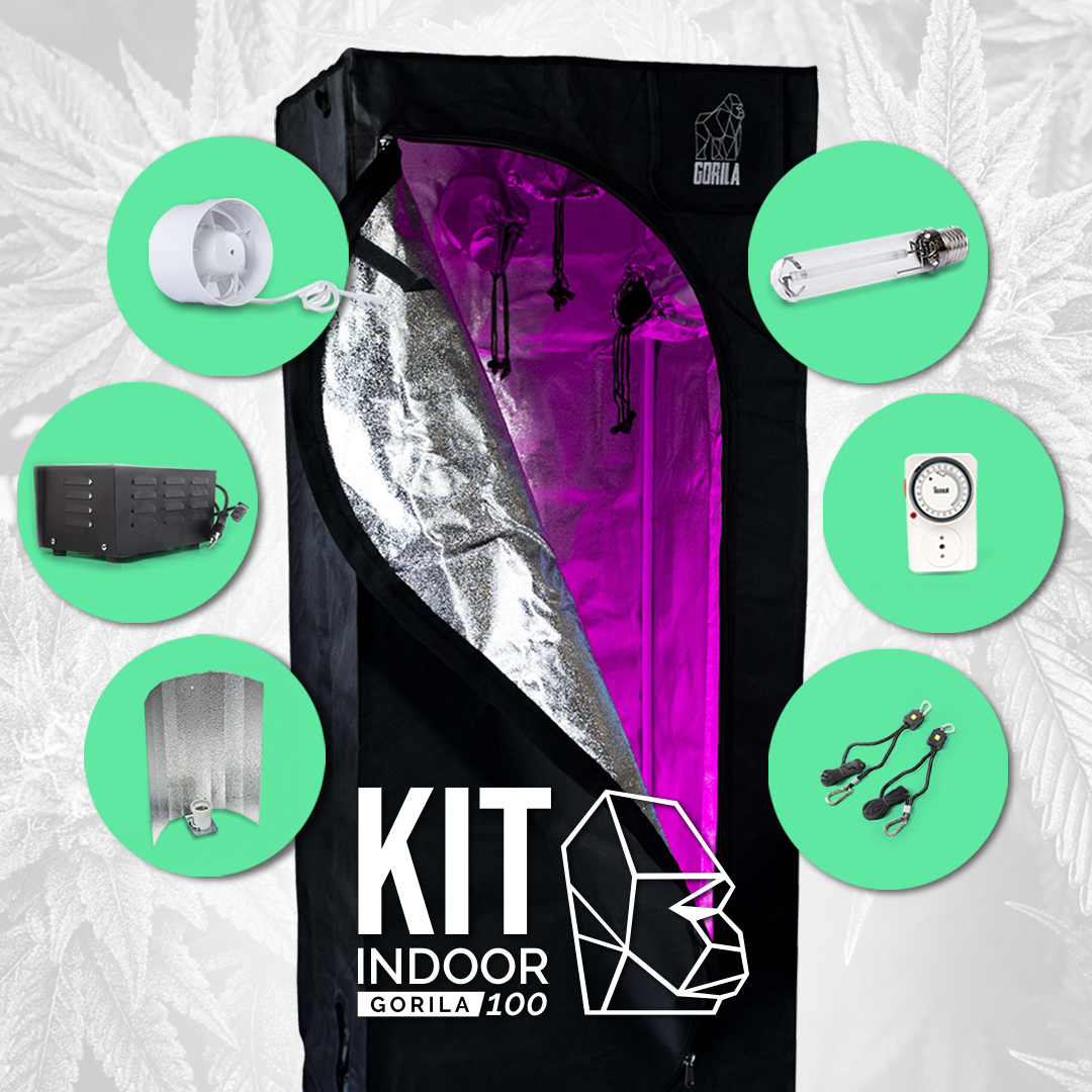 Kit Indoor Gorila 100 cm.- 400W