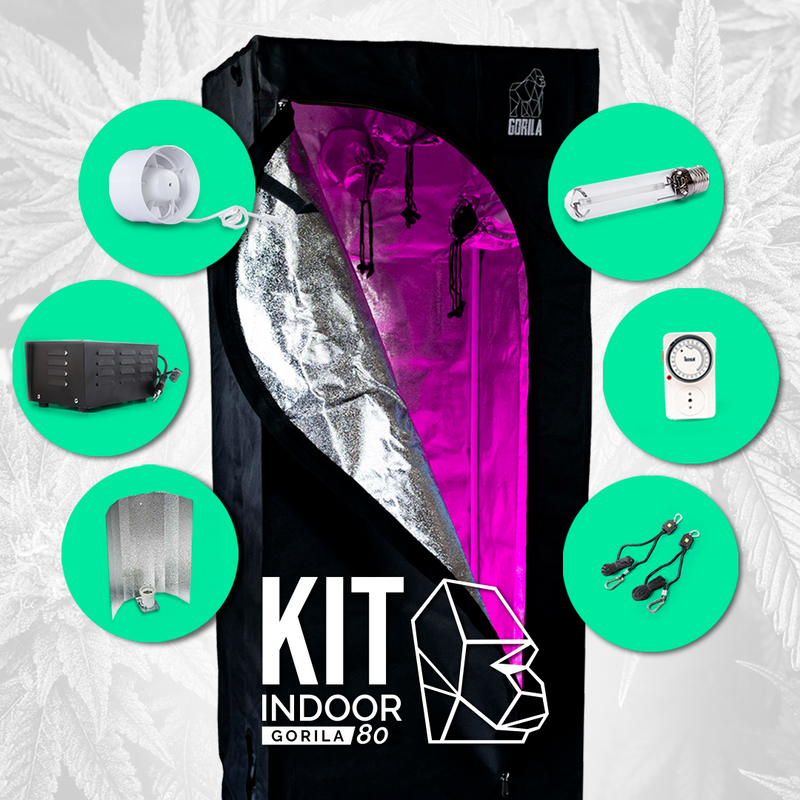 Kit Indoor Gorila 80 cm. - 250W Hortilight