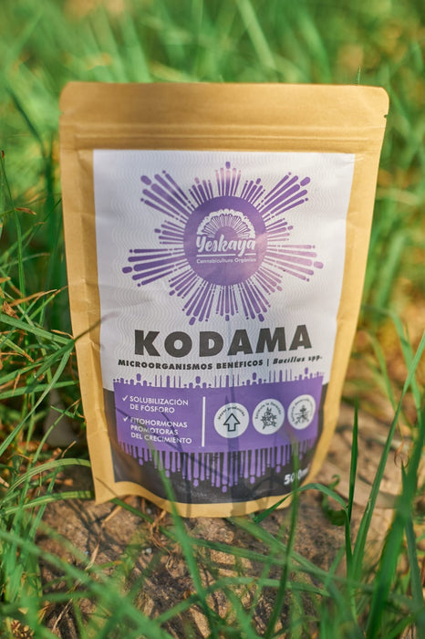 Kodama - Microorganismos, 500 gr
