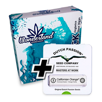 Tripack Organico + 3 semillas Dutch Passion