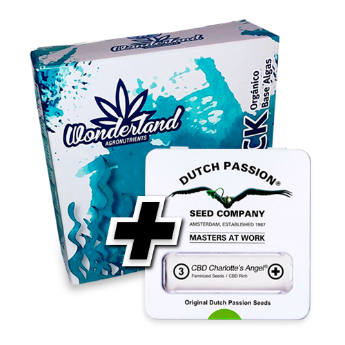 Tripack Organico + 3 semillas Dutch Passion