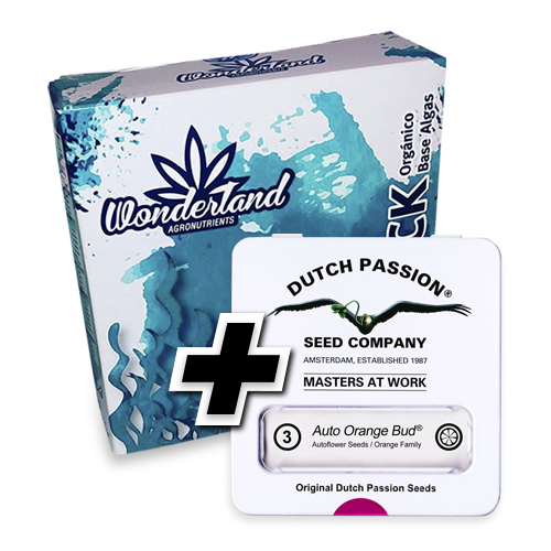 Tripack Organico + 3 semillas Dutch Passion – Growshop Delaferia Chile