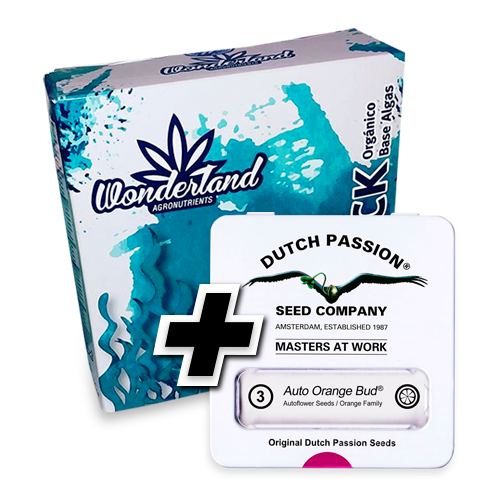 Tripack Organico + 3 semillas Dutch Passion