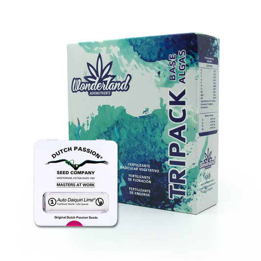 Tripack Wonderland Organico + Auto Daiquiri Lime x1 Semilla
