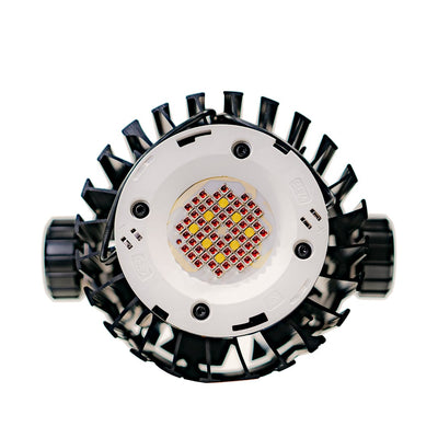 Led Blackcob RS150
