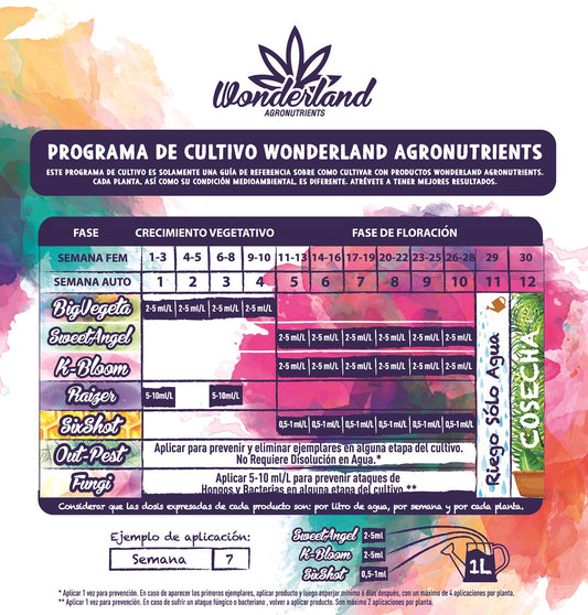 K-Bloom - Wonderland