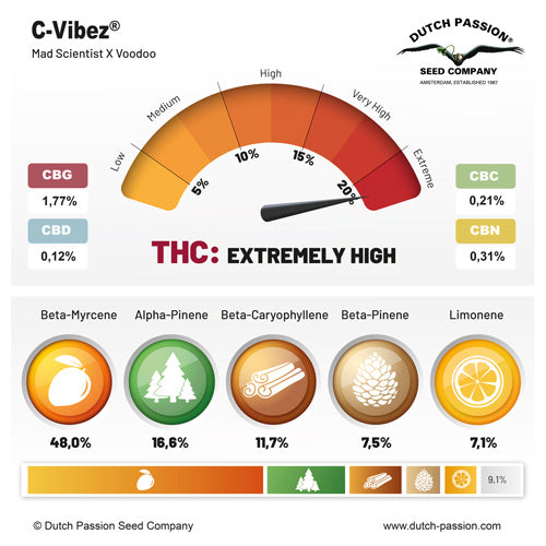 C-Vibez