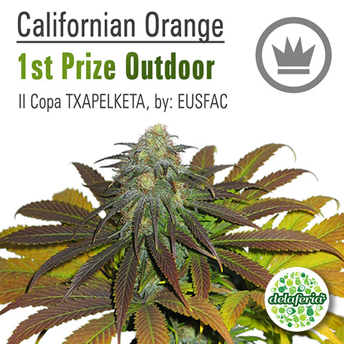 Californian Orange