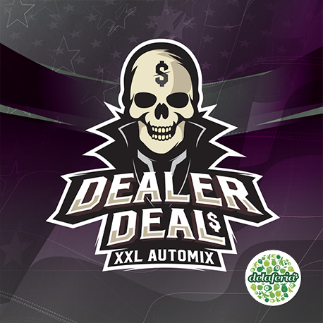 Dealer Deal XXL Auto Mix