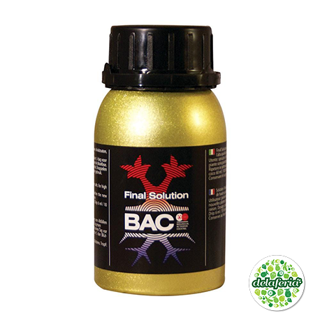 Final Solution Bac