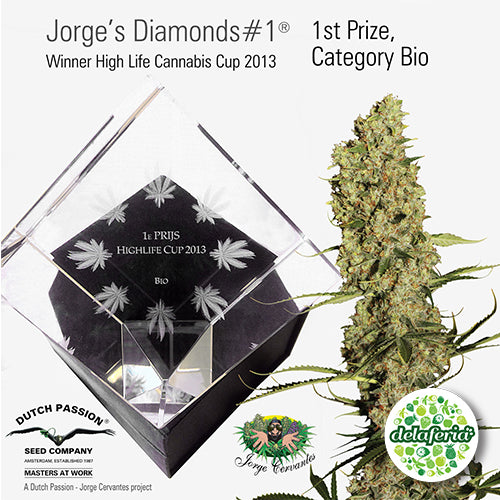 Jorge's Diamond #1
