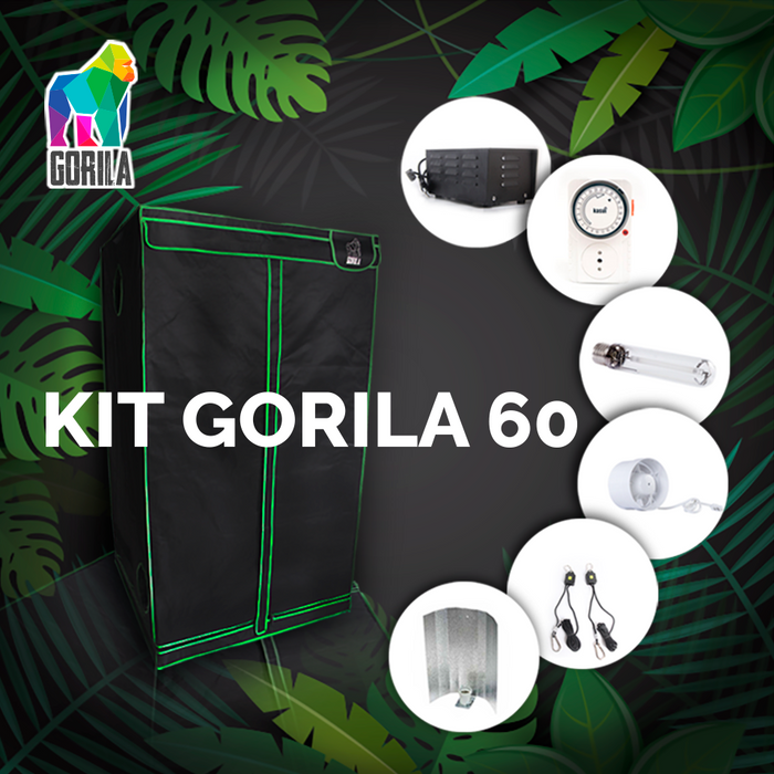 Kit Indoor Gorila 60 cm. - 250W
