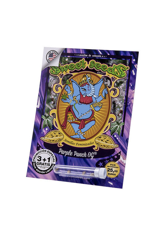 Purple Punch OG