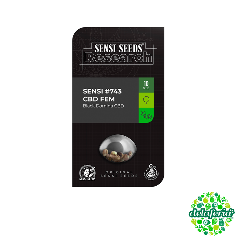 Sensi #743 CBD Fem