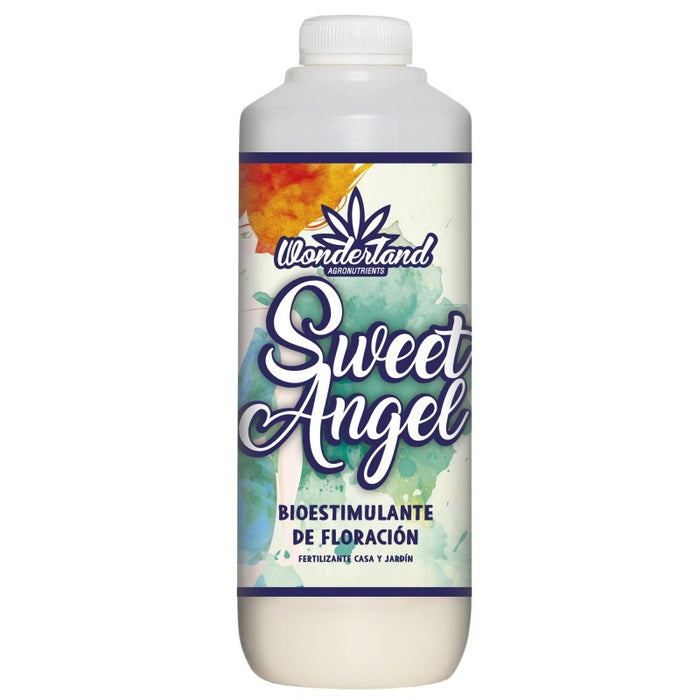 Sweet Angel - Wonderland